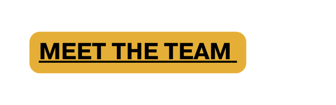 Meet The team