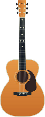 Acoustic Guitar Instrument